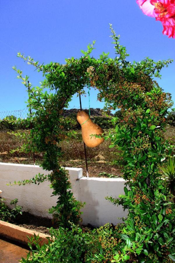 Harriet Studios Agathi CCharaki Exterior foto